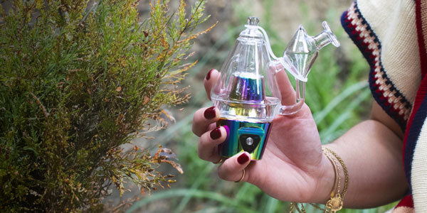 Woman holding Sutra DBR Pro in front of plants and under natural lighting