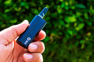 Sutra Auto in hand outside near tree